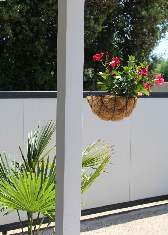 Oliven Garden Villa Rovinj Buitenkant foto