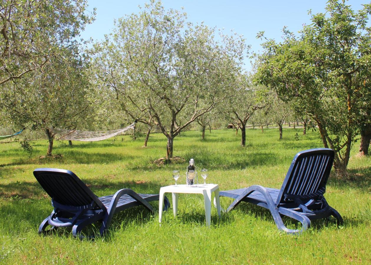 Oliven Garden Villa Rovinj Buitenkant foto